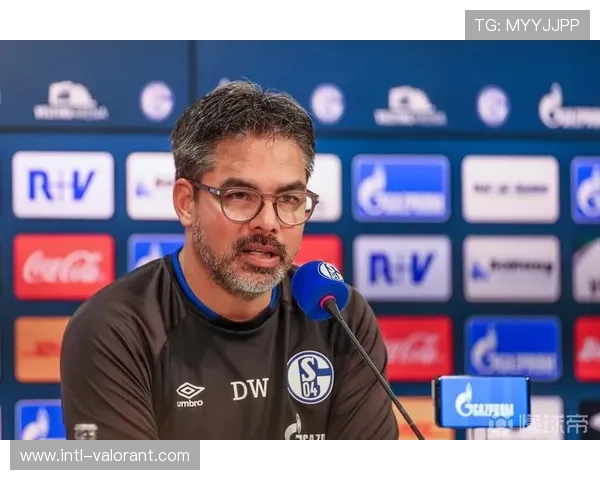 巴甲反歧视委员会处罚案例更新，两俱乐部被罚空场