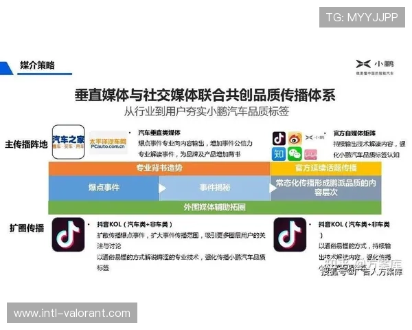 用户生成内容成为品牌传播的重要补充 用户生成内容成为品牌传播的重要补充